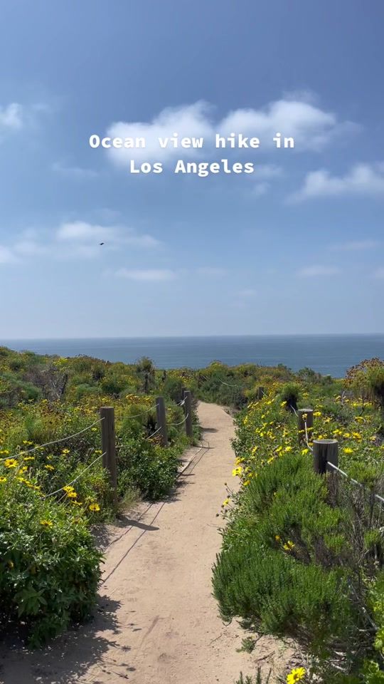 TikTok video thumbnail by casvega_bjbjnk