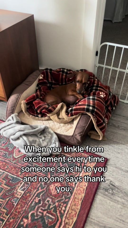 TikTok video thumbnail by alheli.gg