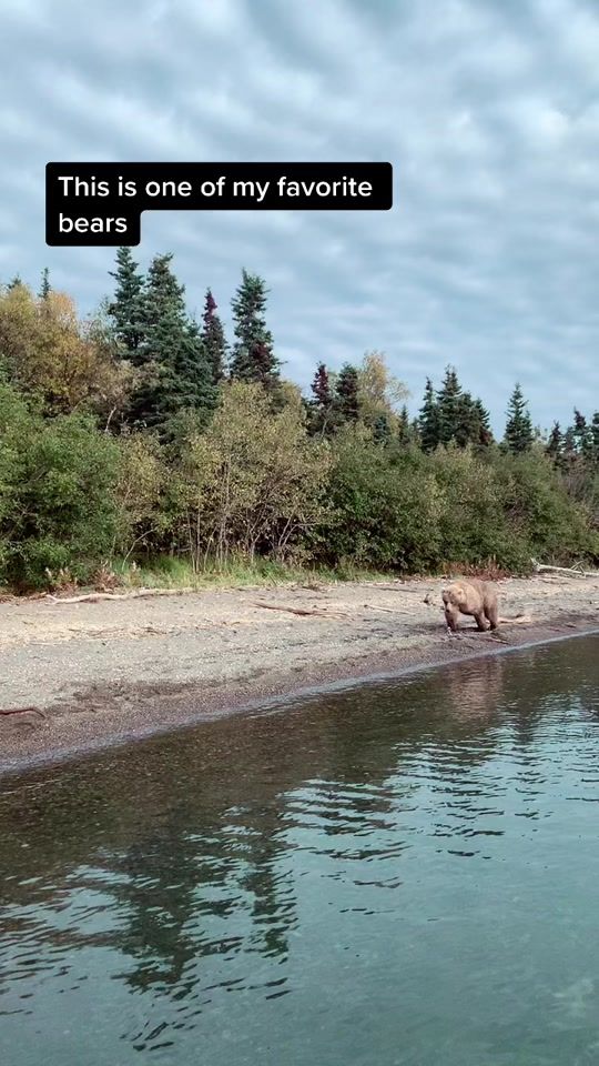 TikTok video thumbnail by ryleeswildlife