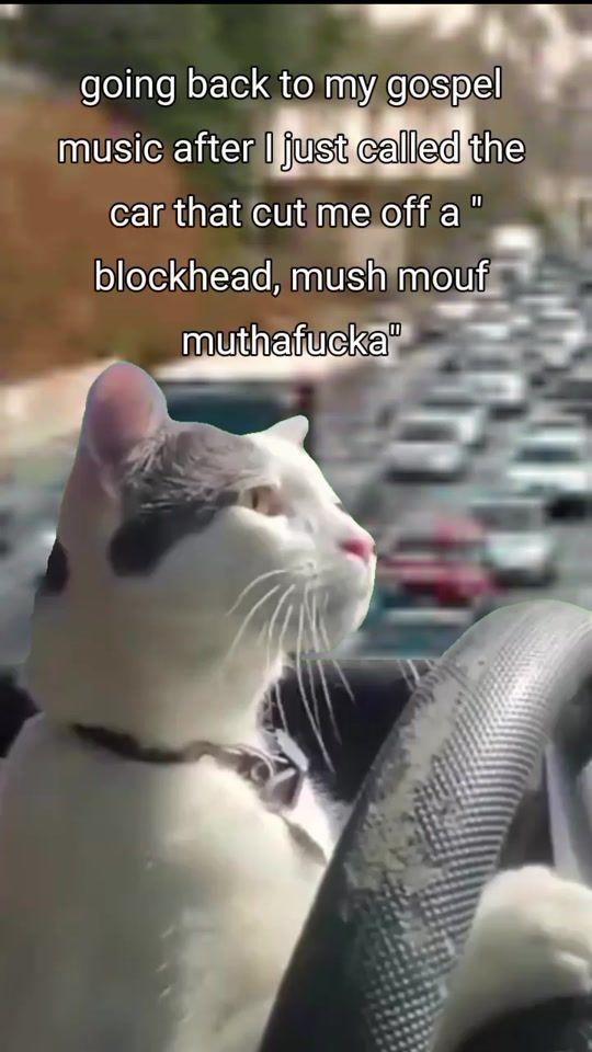TikTok video thumbnail by tipsyauntie