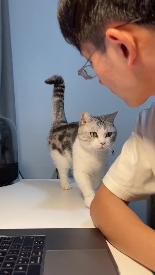 TikTok video thumbnail by 864203654d0