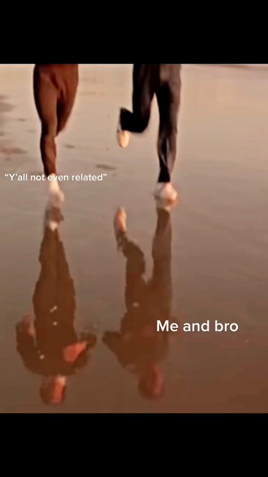 TikTok video thumbnail by zay_utq