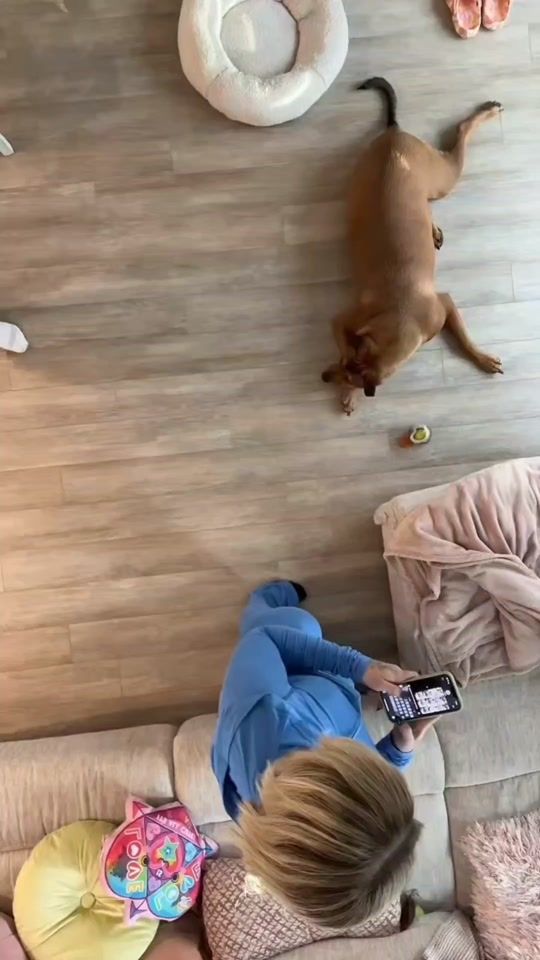 TikTok video thumbnail by im_solanarae