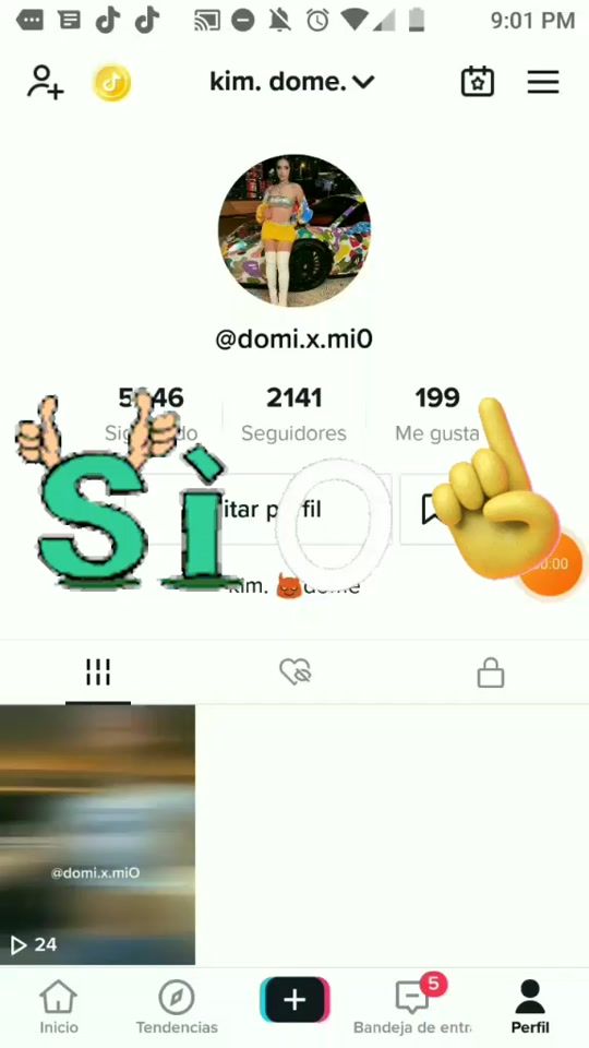 TikTok video thumbnail by domi.x.mi0
