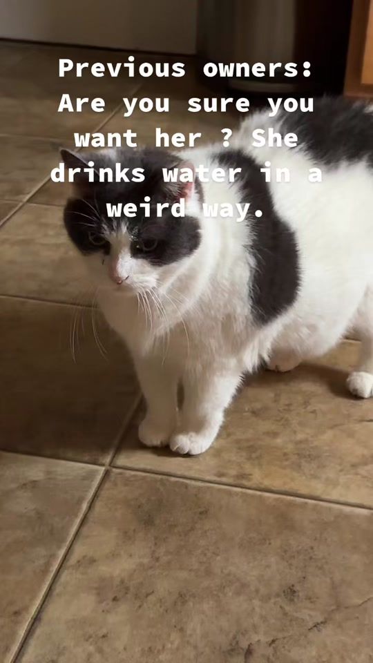TikTok video thumbnail by twingem21