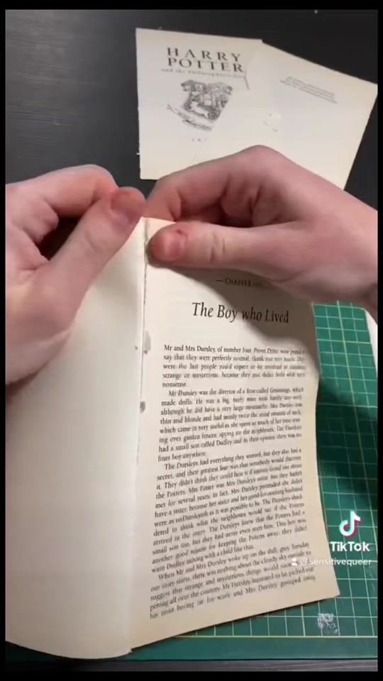 TikTok video thumbnail by mr.bigchops