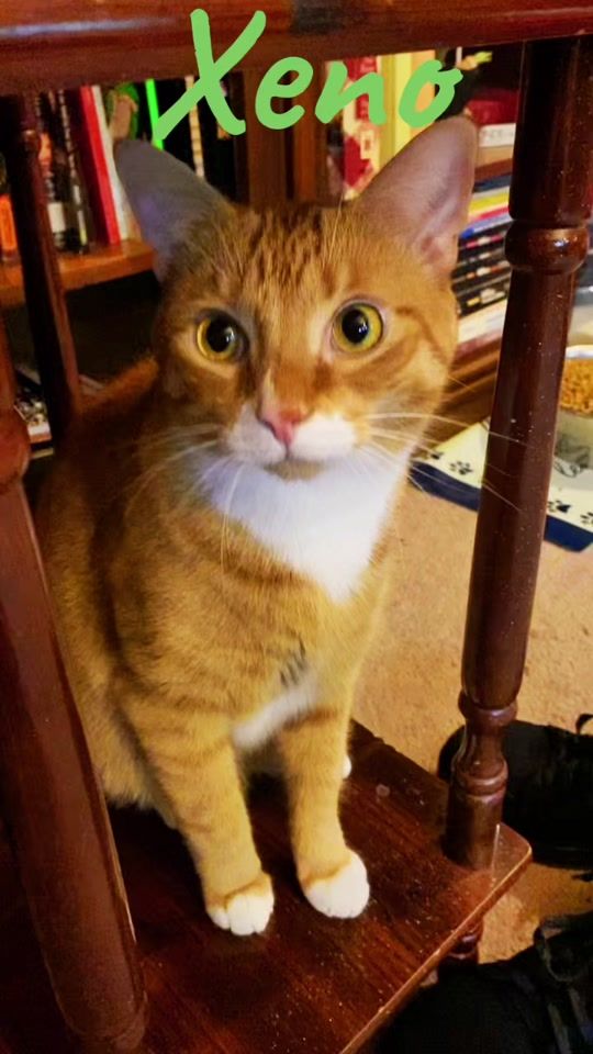 TikTok video thumbnail by forsaken0927