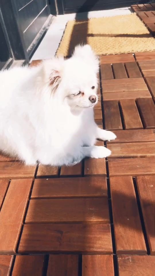 TikTok video thumbnail by snowietlb