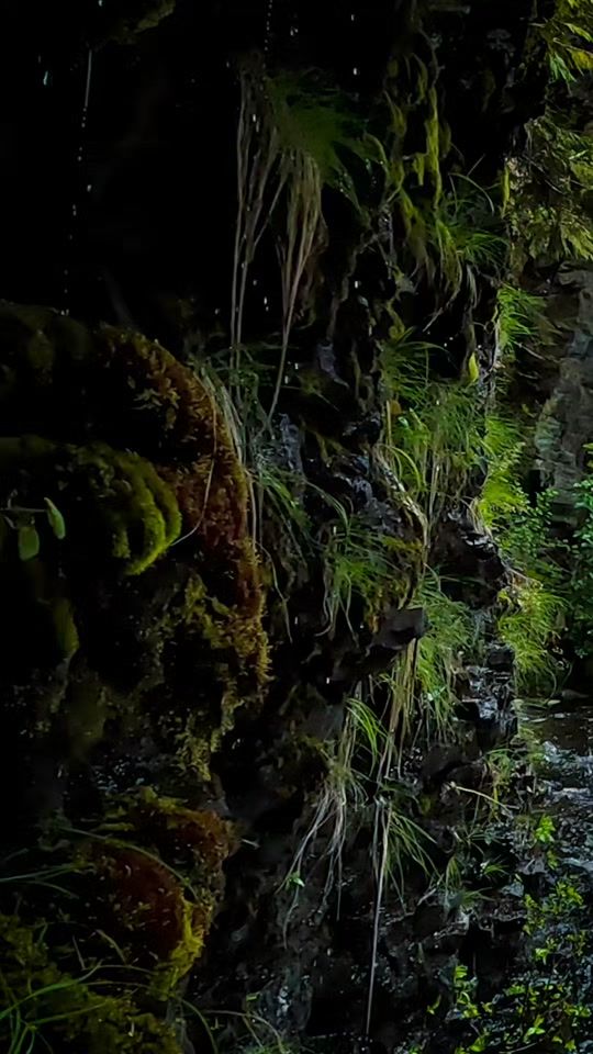 TikTok video thumbnail by alrosewanderquest