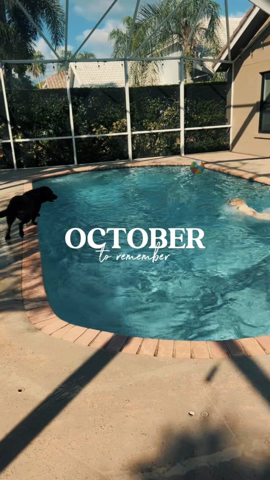 TikTok video thumbnail by travelingrealtor_tara