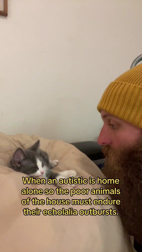 TikTok video thumbnail by the_auhdacity