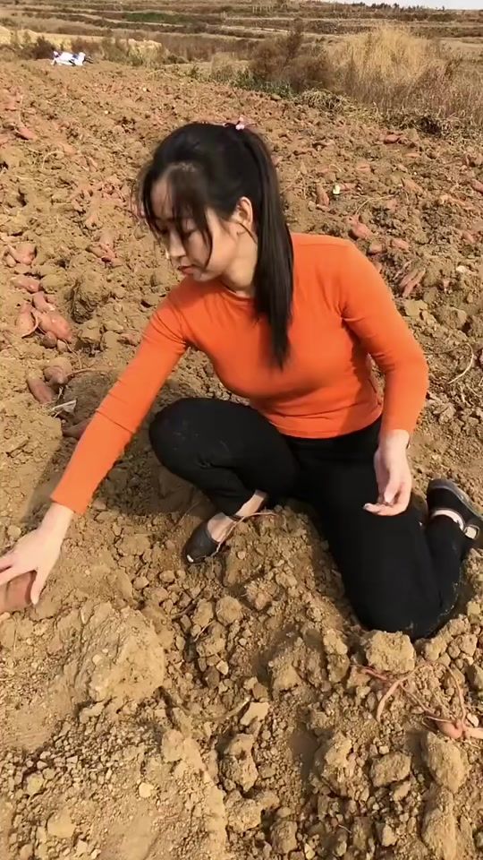 TikTok video thumbnail by whiplashalt