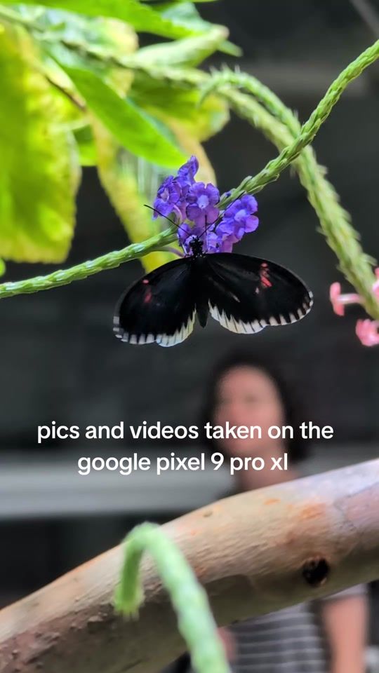 TikTok video thumbnail by fiveonezo