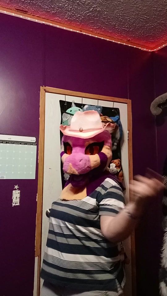 TikTok video thumbnail by thatbarkshark