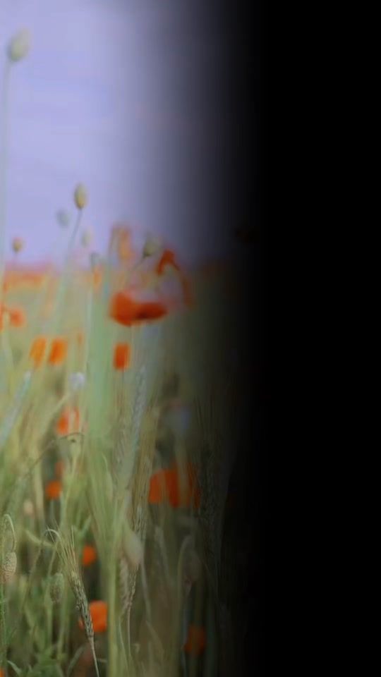 TikTok video thumbnail by faith_spirit_soulcare