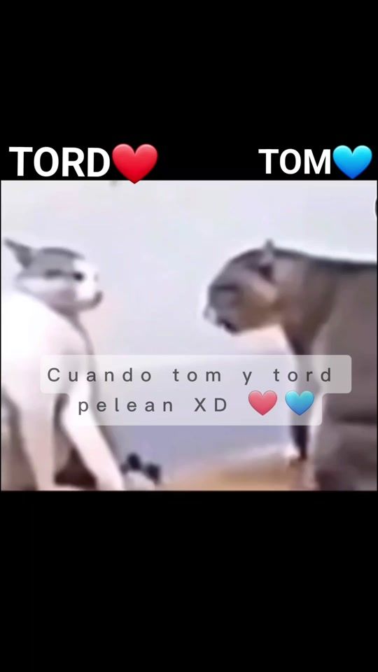 TikTok video thumbnail by 0_a_x_e_l_
