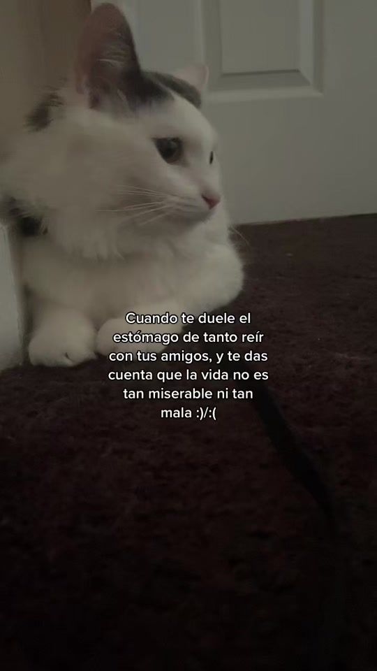 TikTok video thumbnail by kbk.sf