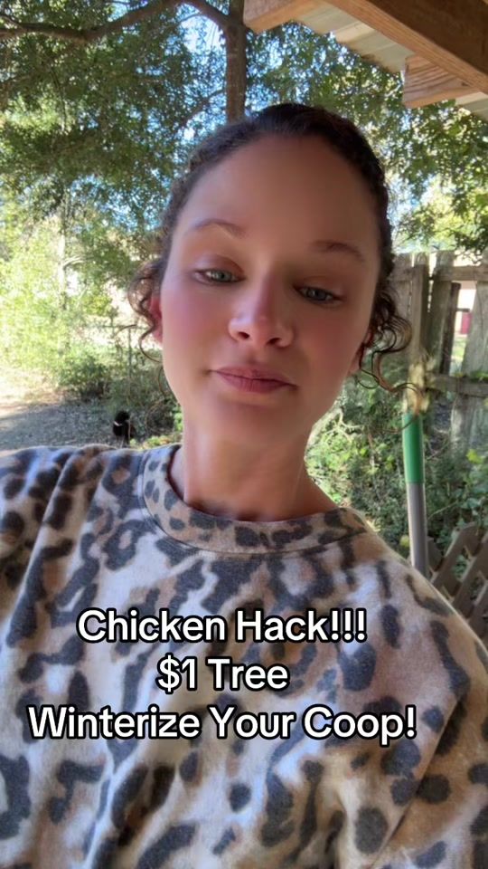 TikTok video thumbnail by therealmrscrocker