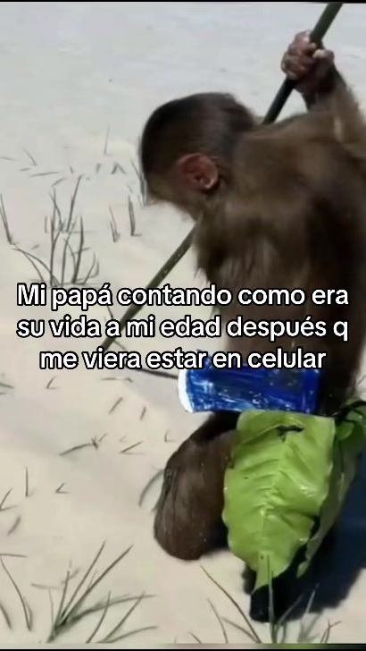 TikTok video thumbnail by melissamono444