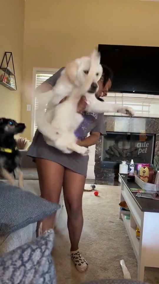TikTok video thumbnail by petlove23.4