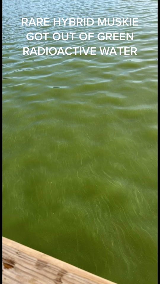 TikTok video thumbnail by fishingwithhawkon
