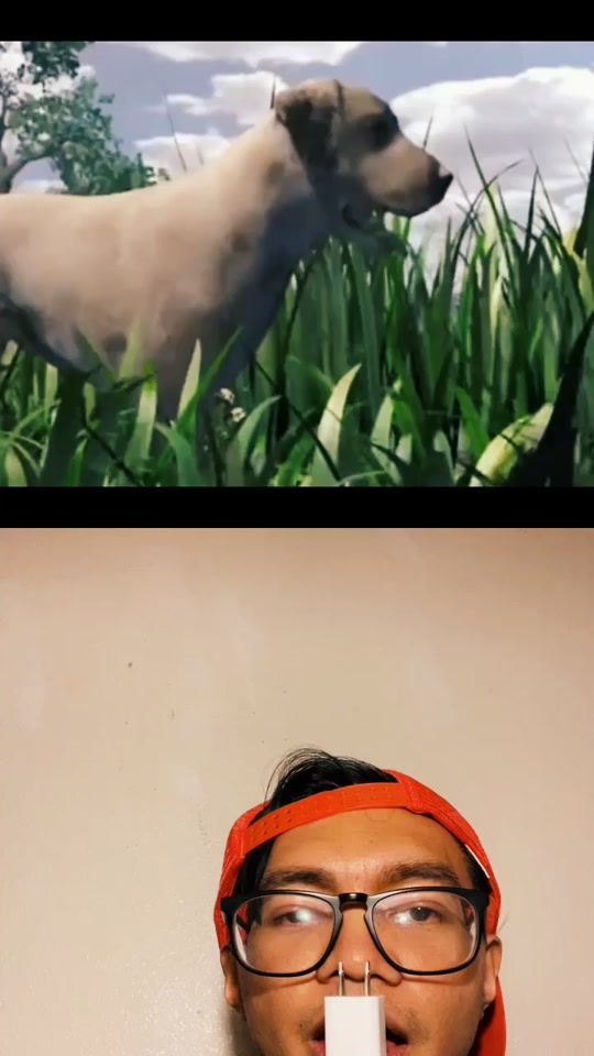 TikTok video thumbnail by lino_ant