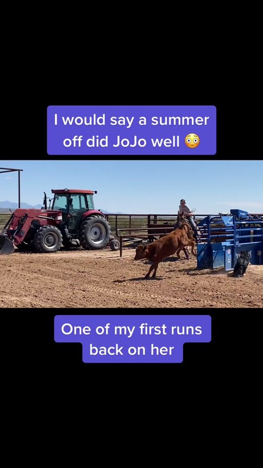 TikTok video thumbnail by nicolebaggarley