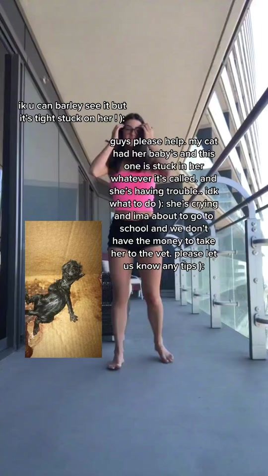 TikTok video thumbnail by resymelo