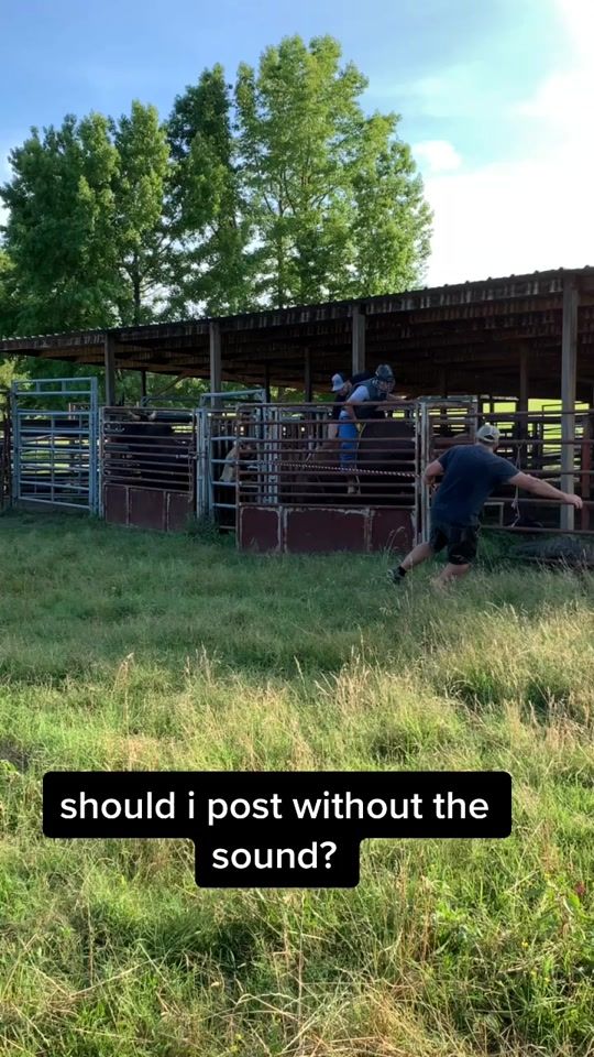 TikTok video thumbnail by t.l.o