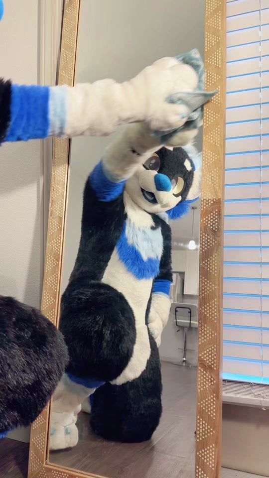 TikTok video thumbnail by reverbthehusky