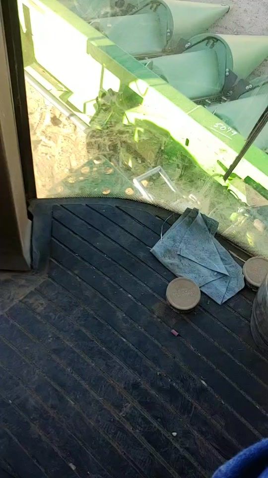TikTok video thumbnail by clusterfuckfarms