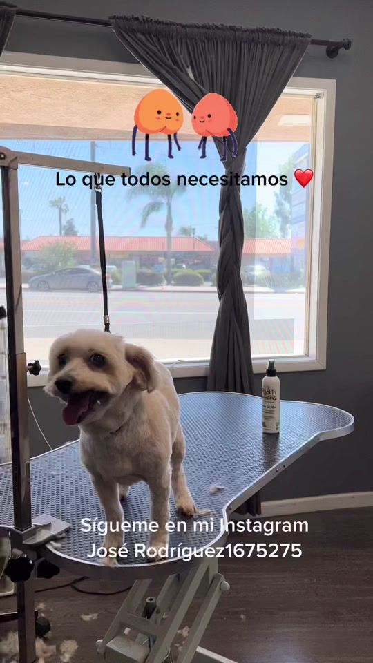 TikTok video thumbnail by jode415
