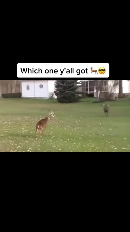 TikTok video thumbnail by kincaid1607