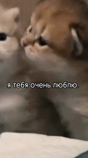 TikTok video thumbnail by reimiix