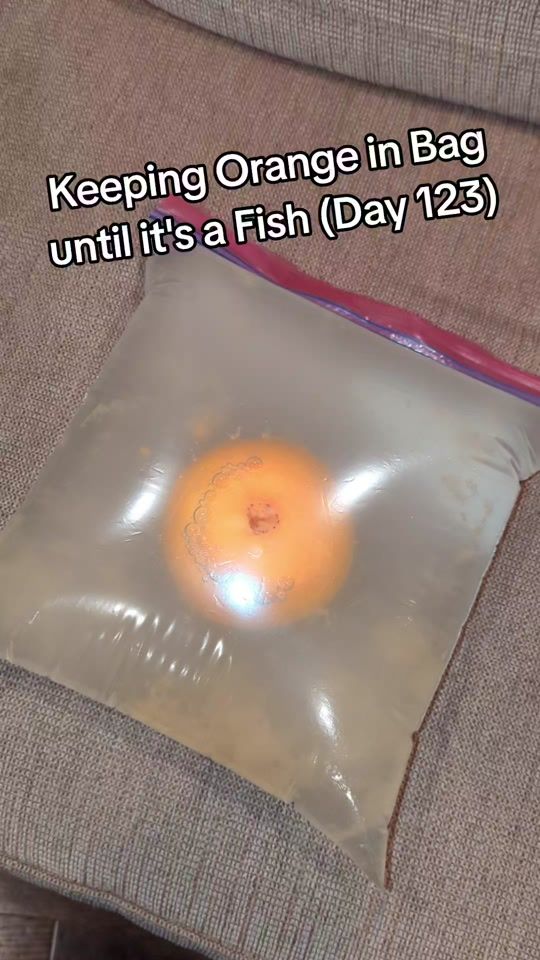 TikTok video thumbnail by viktoforuk