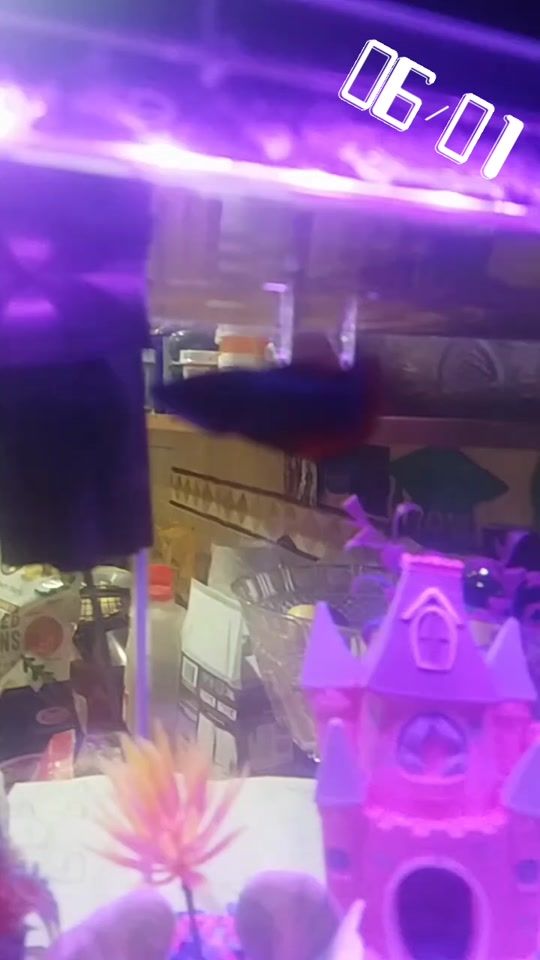 TikTok video thumbnail by sarahnextdoorgirl18