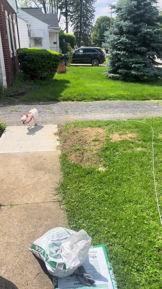 TikTok video thumbnail by 1laylabobayla