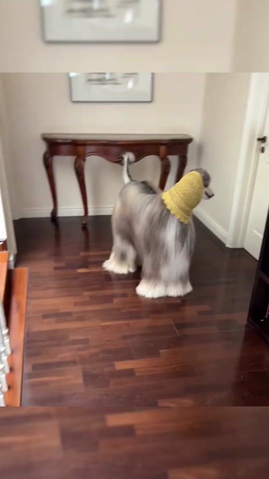 TikTok video thumbnail by user3313740021670