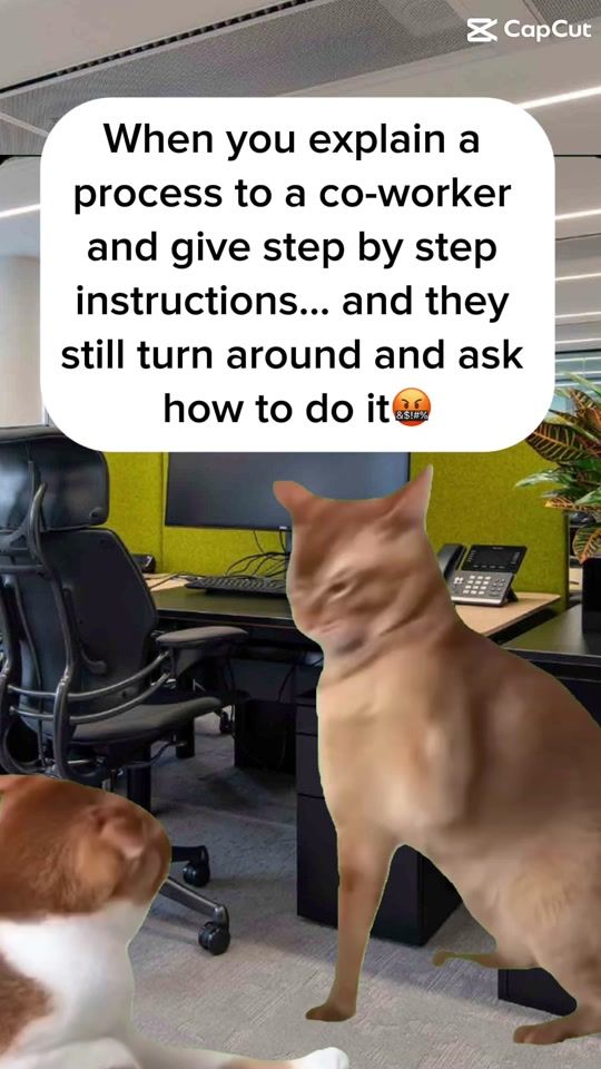 TikTok video thumbnail by iampcarter