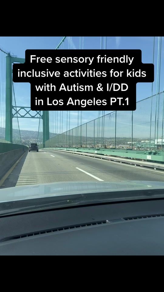 TikTok video thumbnail by wellsaidstacy