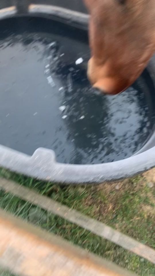 TikTok video thumbnail by hannabundy