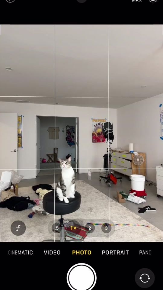 TikTok video thumbnail by pablorochat