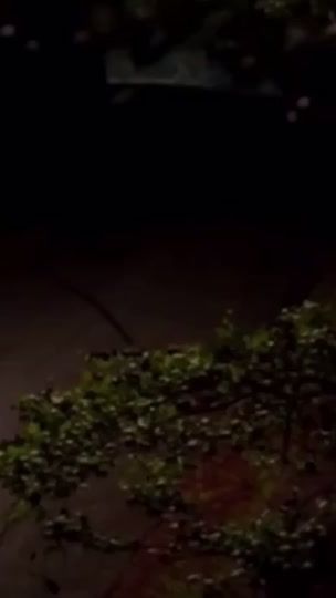 TikTok video thumbnail by hischicr