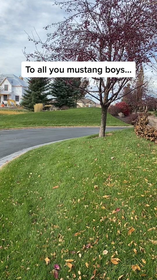 TikTok video thumbnail by jadenandersen1