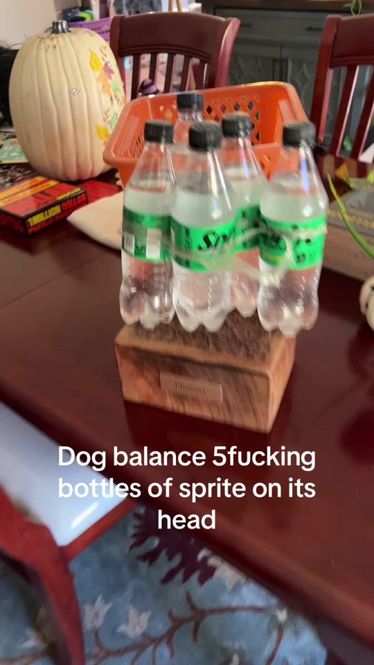 TikTok video thumbnail by tigerp621