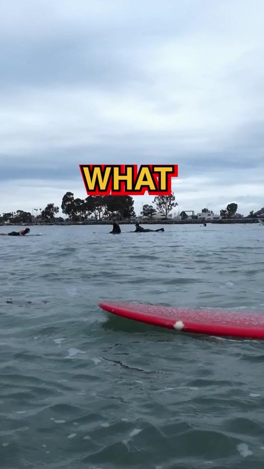 TikTok video thumbnail by awesomenesstv