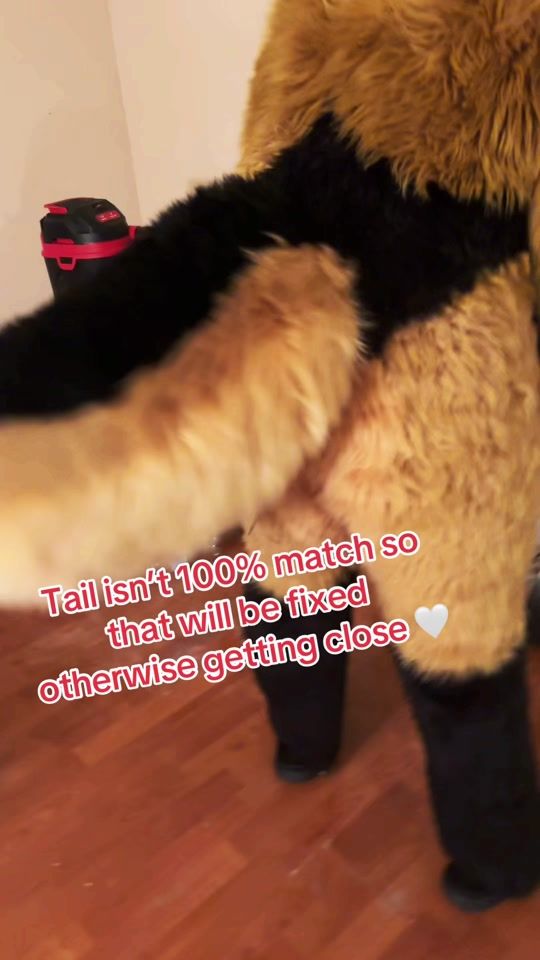 TikTok video thumbnail by sarkeen2.0