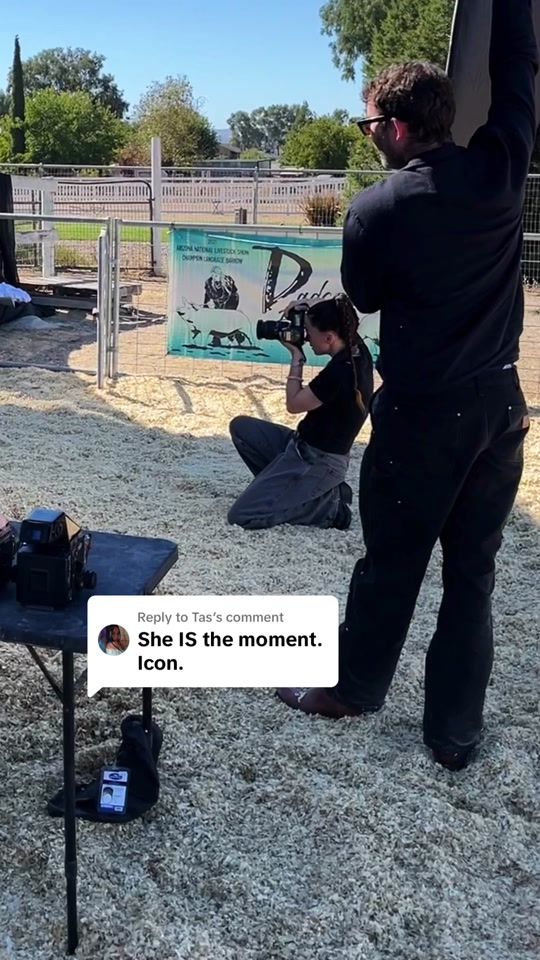 TikTok video thumbnail by dadsonfarms
