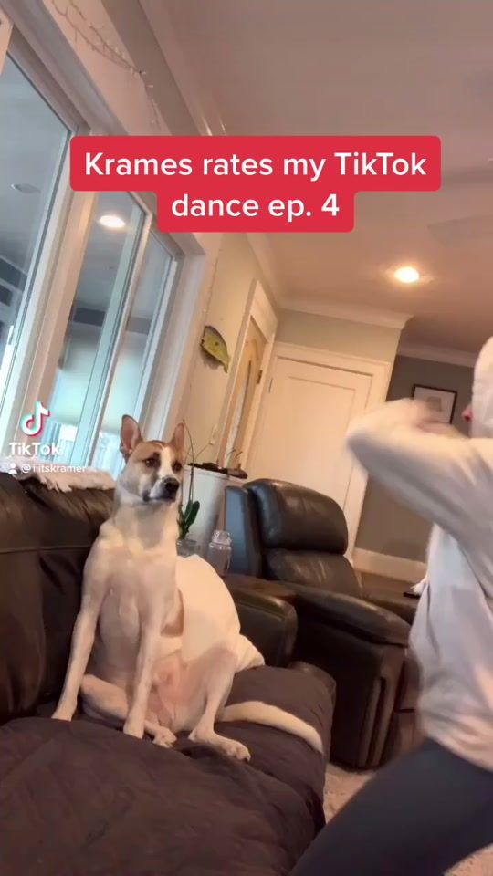 TikTok video thumbnail by kramerdoesntcare