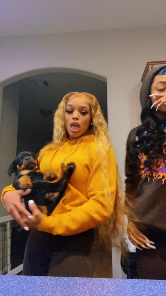 TikTok video thumbnail by finibradley